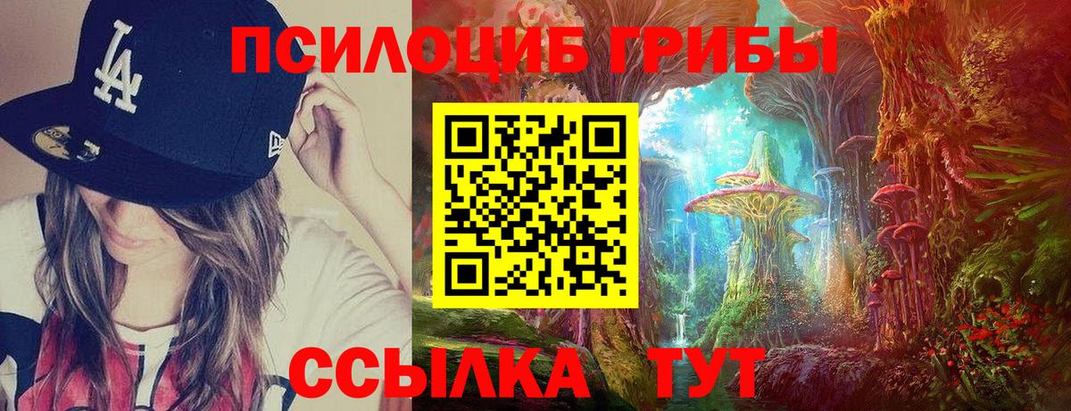 Псилоцибиновые грибы мухоморы Великий Устюг