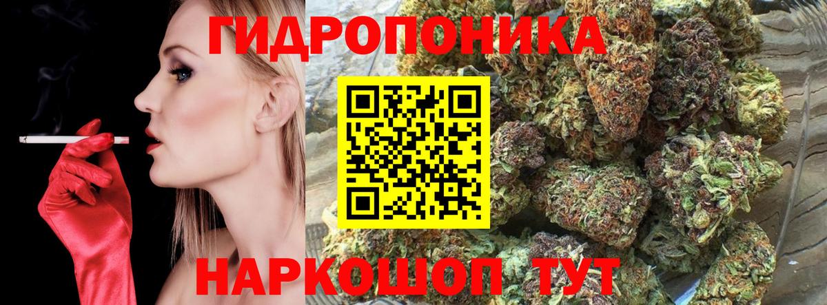 Канабис Bruce Banner Великий Устюг